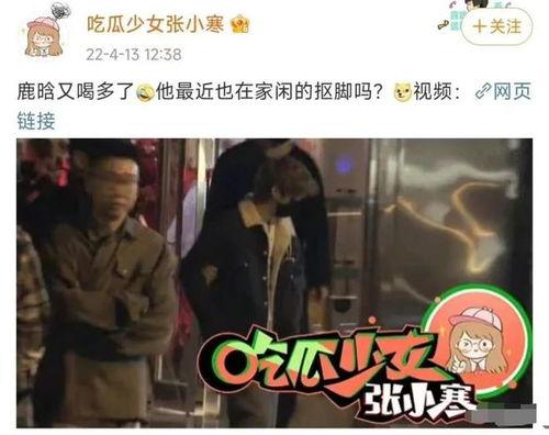 狗仔突发爆料视频下载安装,视频下载安装幕后真相大曝光